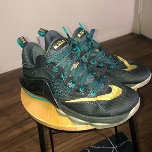 Lebron 12 Low Carbon Fiber/SVSM